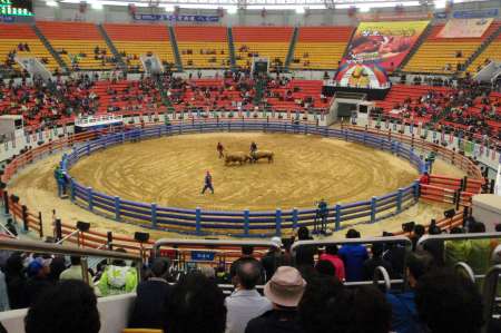 cheongdo bullfighting