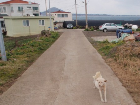 He was friendly enough.