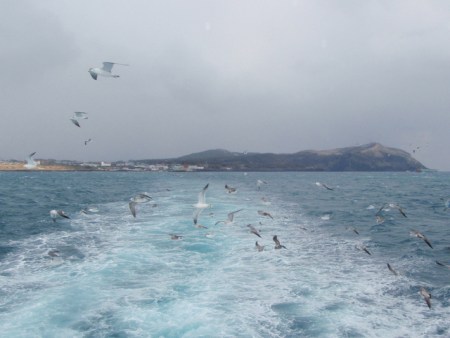 I didn't have any sardines.