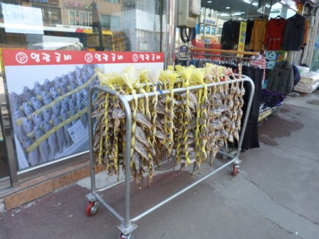 Dried Gulbi attracting flies.