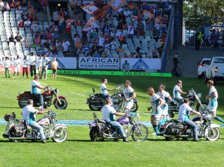 Ideal for the playing surface.