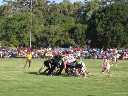 View from near the main stand.