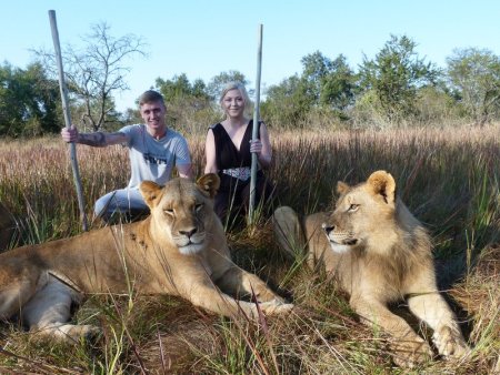 I'm sure those sticks will be adequate.