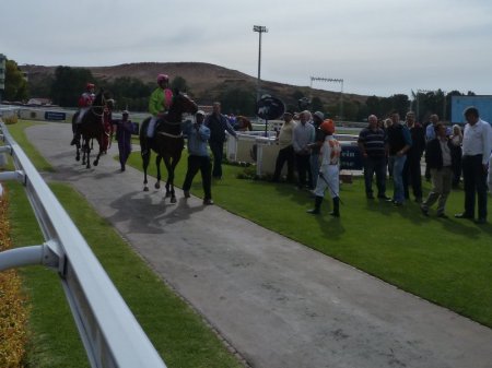 The parade ring