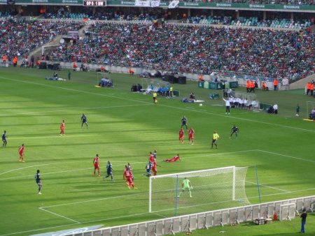 I should have taken the camera with the zoom lens.