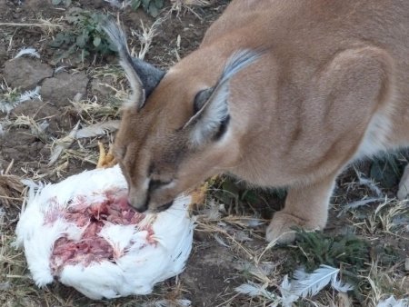 I stopped teasing him at this point.