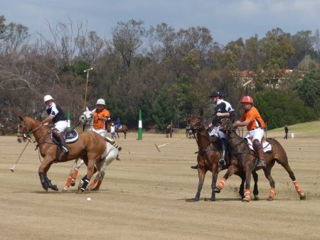 Prince of wales polo cup 1