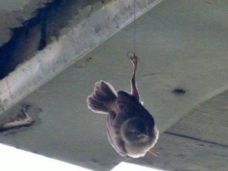 There wasn't really anything we could do.