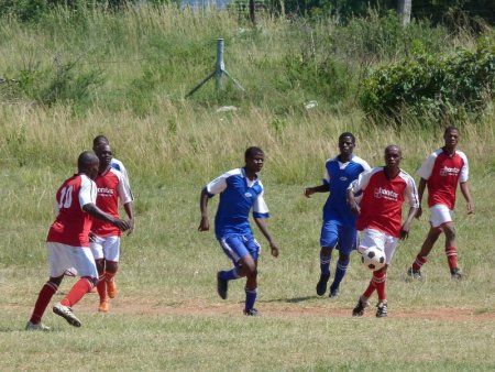 Note the length of the grass behind them.