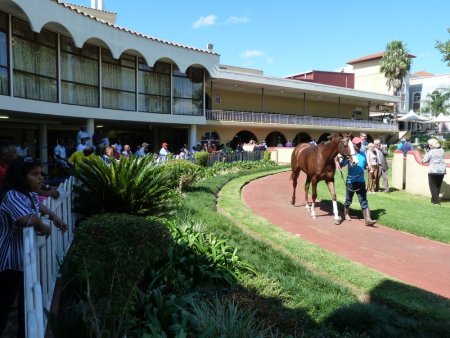 Parade Ring.