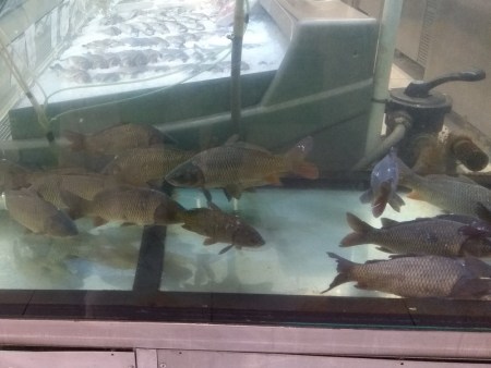 IMG_20200822_124023446